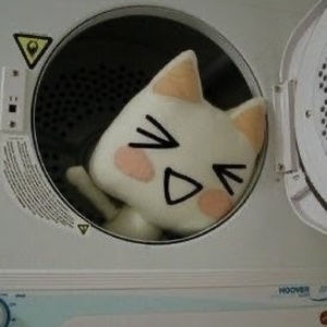 Meet your Posher, Alaina